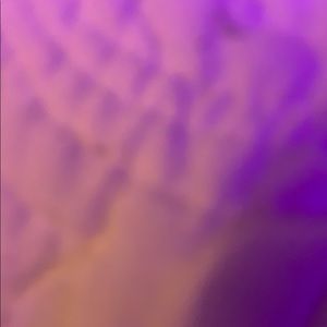 Meet your Posher, Bradley